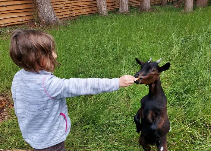 Au Clos Caleste Hébergement de vacances Wellin