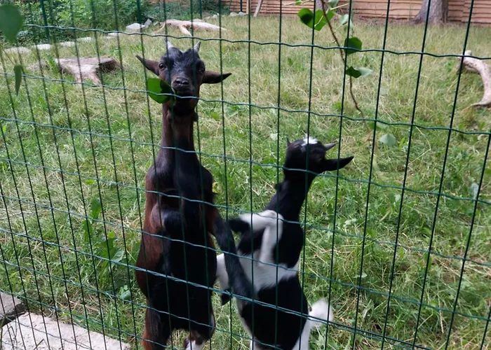 Hébergement de vacances Au Clos Caleste *